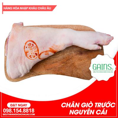 Chân giò trước nguyên cái 