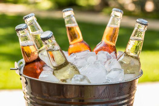 Bia không có hại không?