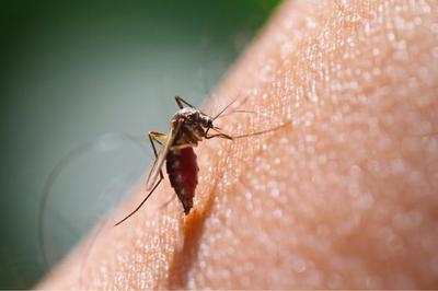 bình xịt muỗi hiệu quả an toàn cho người dùng.