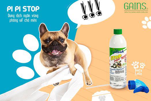 Cách dạy huấn luyện cho chó đi vệ sinh đúng chỗ