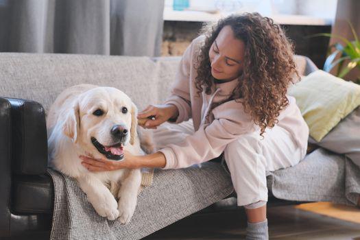 các giống chó cảnh đẹp giá rẻ dễ nuôi.