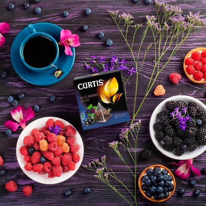 Trà Đen Túi Lọc Curtis - Hương Việt Quất, Lý Chua Đen