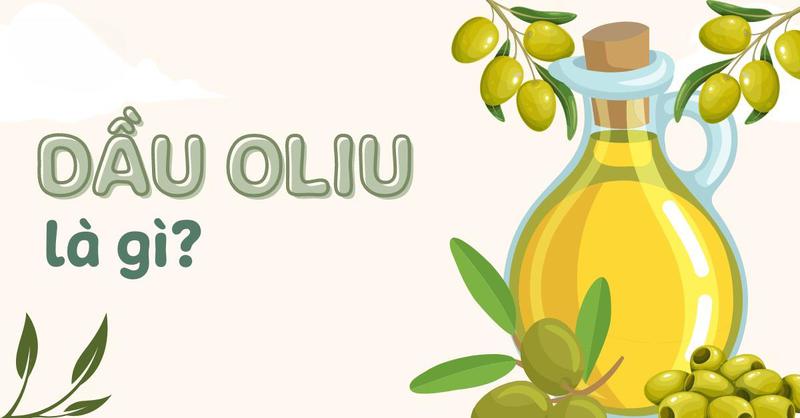 DẦU OLIVE LÀ GÌ? DẦU OLIVE CÓ TÁC DỤNG GÌ ĐỐI VỚI SỨC KHỎE VÀ LÀM ĐẸP CỦA CHỊ EM PHỤ NỮ.