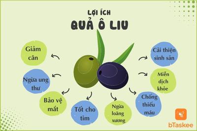 LỢI ÍCH TUYỆT VỜI TỪ QUẢ OLIVE NGÂM MÀ BẠN CÓ THỂ CHƯA BIẾT!